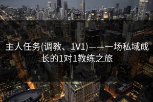 主人任务(调教、1V1)——一场私域成长的1对1教练之旅
