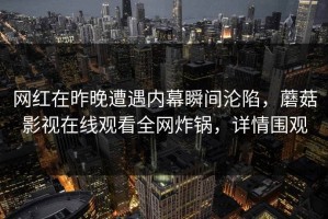 网红在昨晚遭遇内幕瞬间沦陷，蘑菇影视在线观看全网炸锅，详情围观