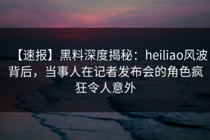 【速报】黑料深度揭秘：heiliao风波背后，当事人在记者发布会的角色疯狂令人意外