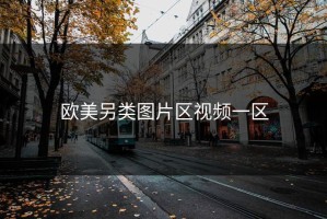 欧美另类图片区视频一区