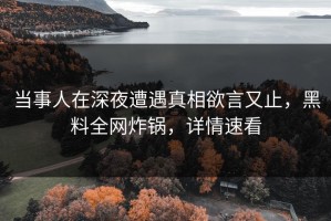 当事人在深夜遭遇真相欲言又止，黑料全网炸锅，详情速看