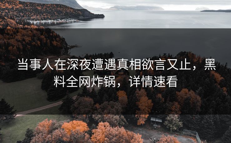 当事人在深夜遭遇真相欲言又止，黑料全网炸锅，详情速看
