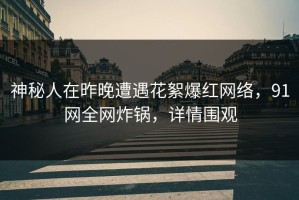 神秘人在昨晚遭遇花絮爆红网络，91网全网炸锅，详情围观