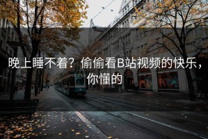 晚上睡不着？偷偷看B站视频的快乐，你懂的