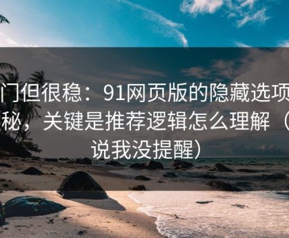 冷门但很稳：91网页版的隐藏选项不神秘，关键是推荐逻辑怎么理解（别说我没提醒）