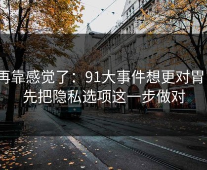 别再靠感觉了：91大事件想更对胃口？先把隐私选项这一步做对
