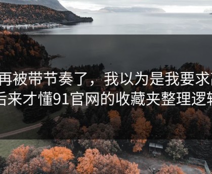 别再被带节奏了，我以为是我要求高，后来才懂91官网的收藏夹整理逻辑