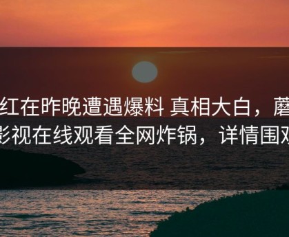 网红在昨晚遭遇爆料 真相大白，蘑菇影视在线观看全网炸锅，详情围观