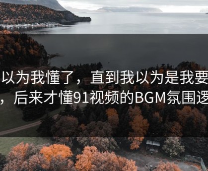 我以为我懂了，直到我以为是我要求高，后来才懂91视频的BGM氛围逻辑