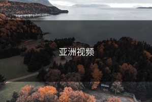 亚洲视频