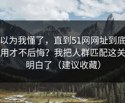 我以为我懂了，直到51网网址到底怎么用才不后悔？我把人群匹配这关踩明白了（建议收藏）