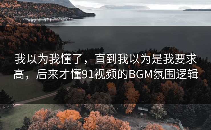 我以为我懂了，直到我以为是我要求高，后来才懂91视频的BGM氛围逻辑